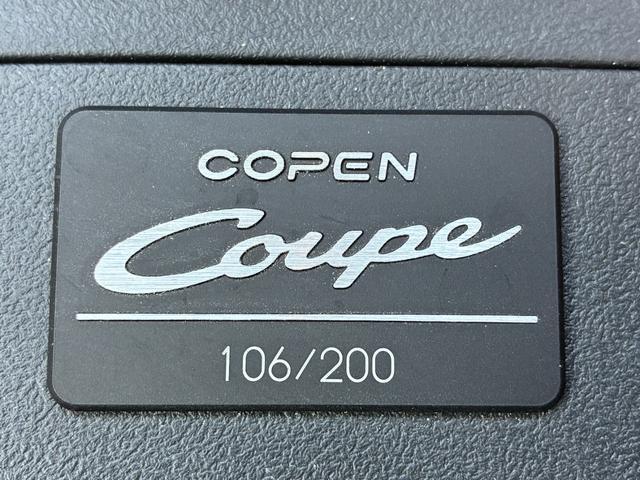 22499850_carP_l_3.jpg
