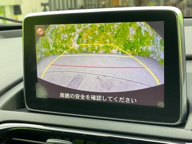 20828119_carP_l_7.jpg