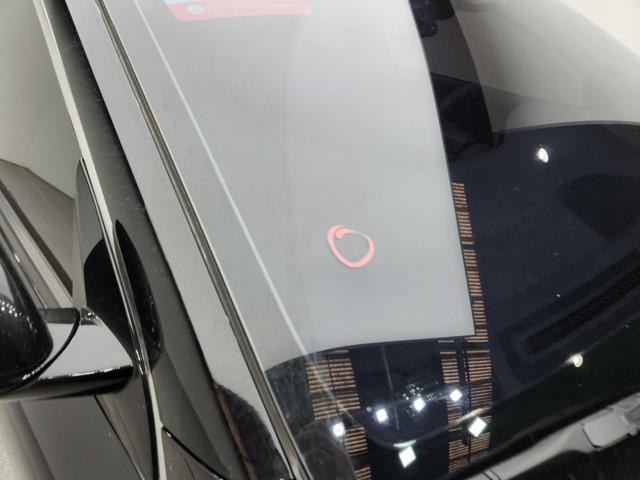lotterental_152503535_BRG7o_2.jpg