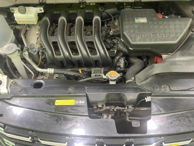 23054937_carP_l_18.jpg