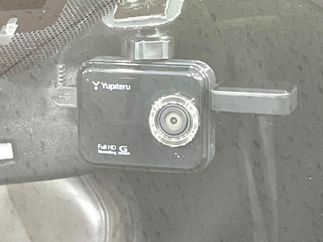 22280818_carP_l_10.jpg