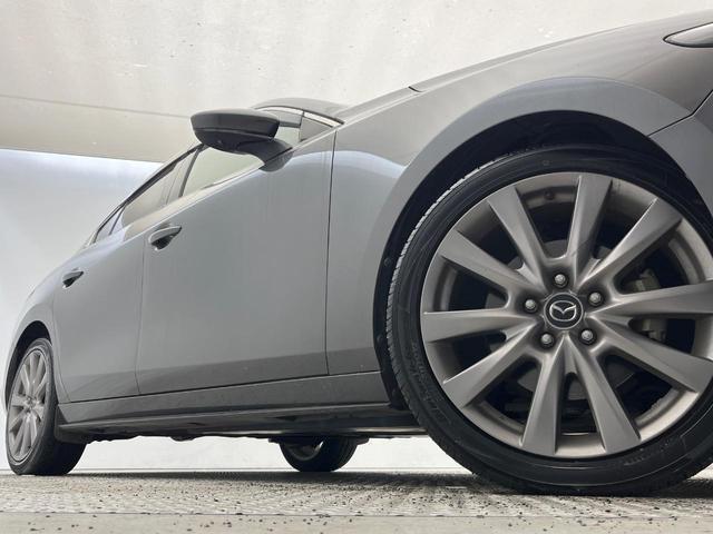 22448609_carP_l_5.jpg