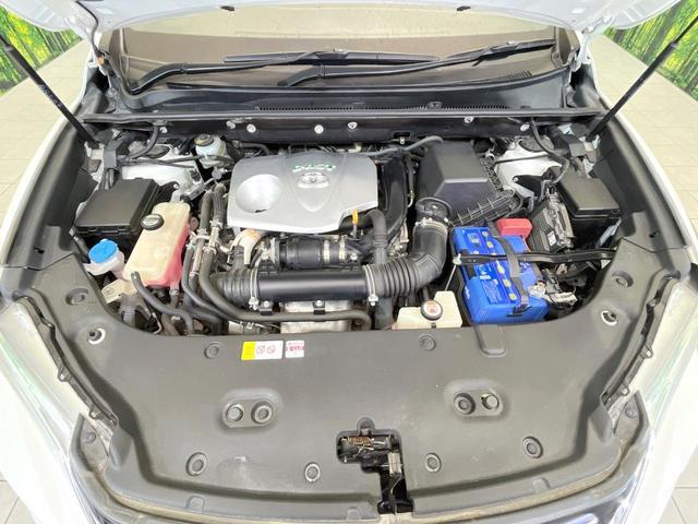 21817331_carP_l_12.jpg
