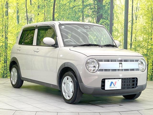 23169167_carP_l_11.jpg