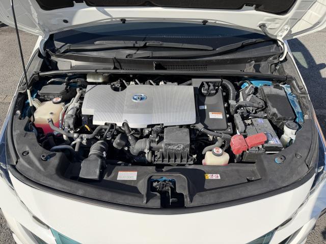 21420969_carP_l_17.jpg