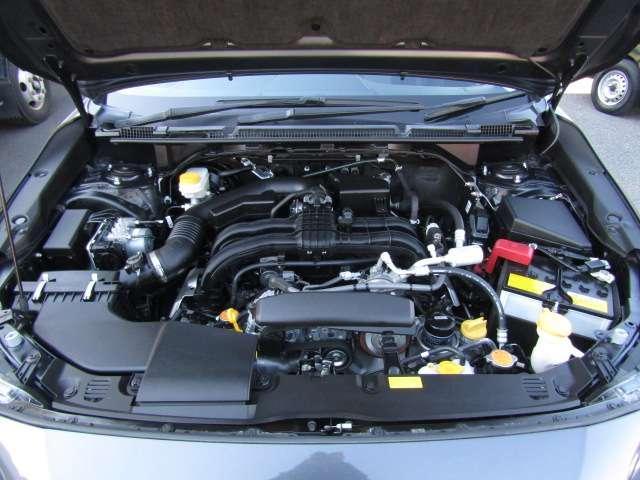 21615364_carP_l_16.jpg