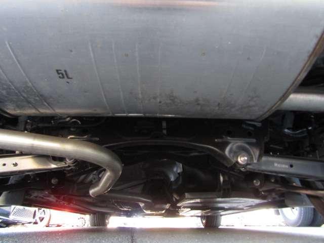 21615364_carP_l_18.jpg