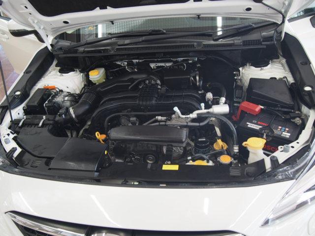 21100655_carP_l_17.jpg