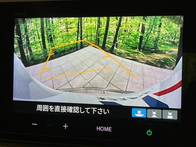 20957256_carP_l_4.jpg