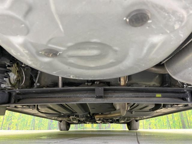 21601285_carP_l_18.jpg