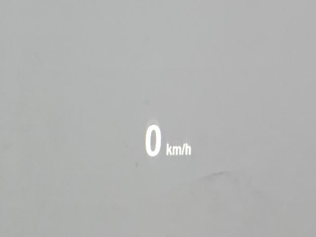 d33b7df010b8d95622cadf6e9968deb5.jpeg