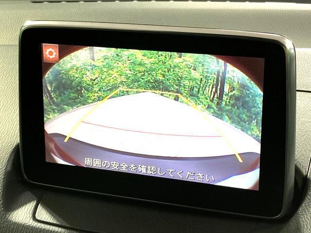 20765047_carP_l_10.jpg