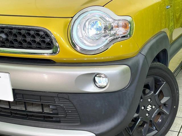 22467554_carP_l_6.jpg