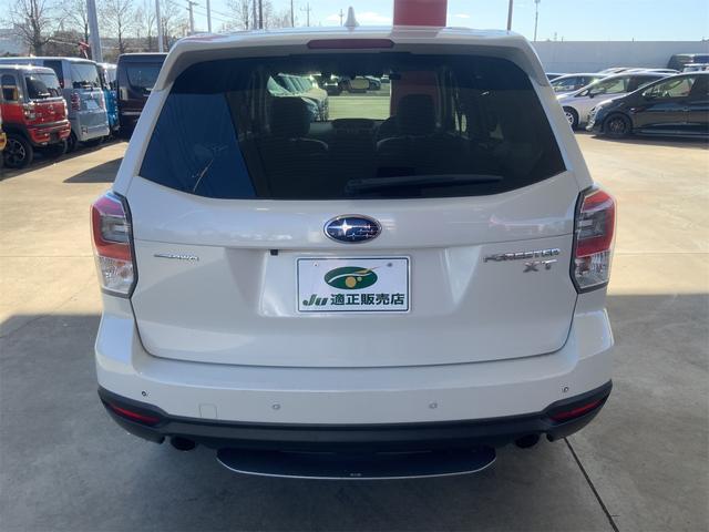 21235466_carP_l_15.jpg