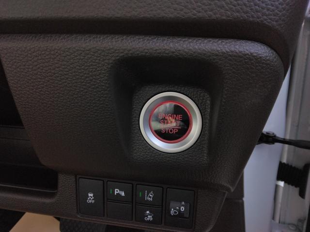 21248617_carP_l_12.jpg