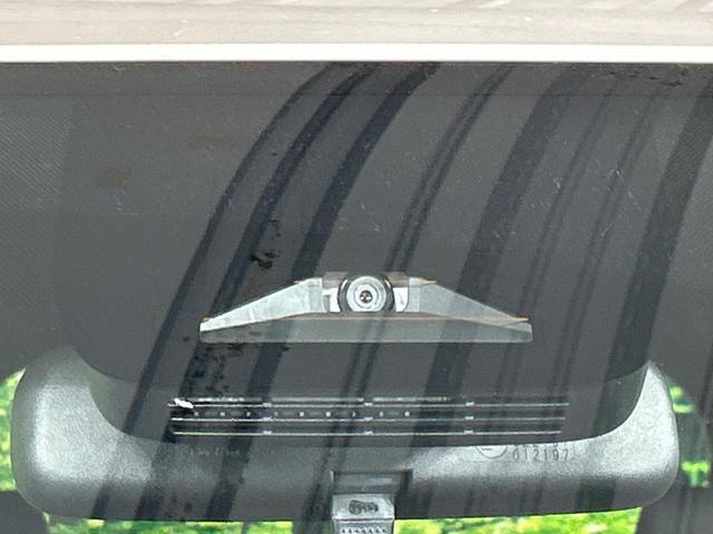 22004030_carP_l_10.jpg