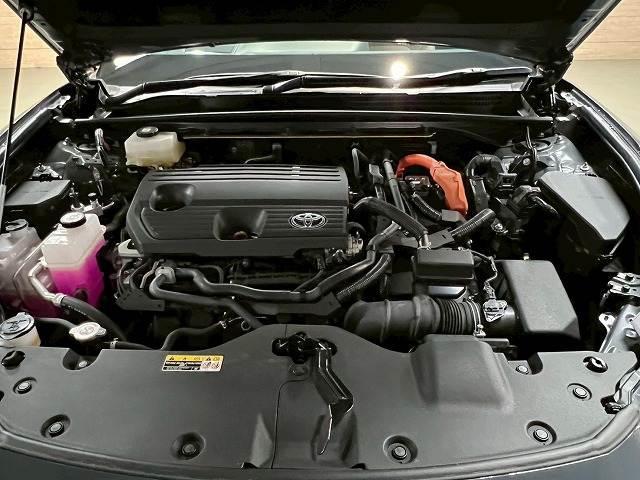 21213490_carP_l_7.jpg