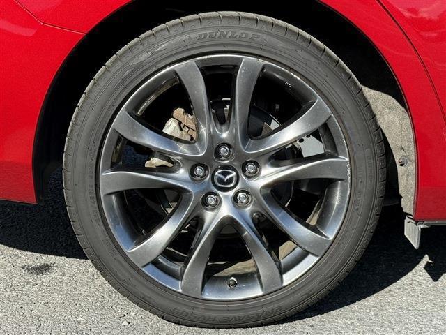 d825ada0426e4022cc481b746343c152.jpg