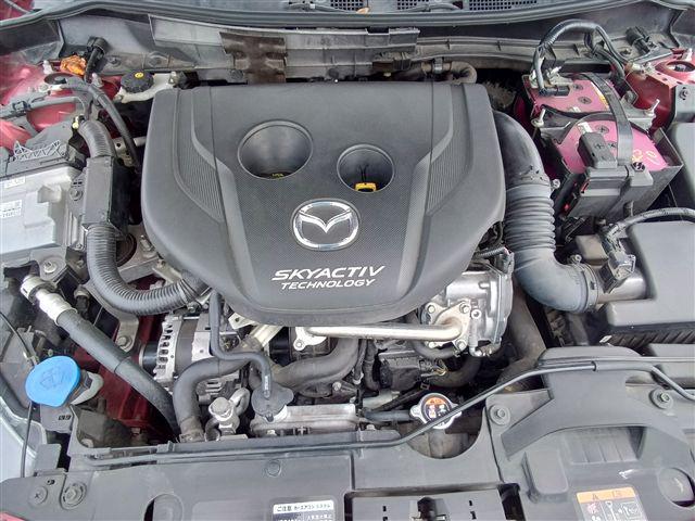 08.jpg