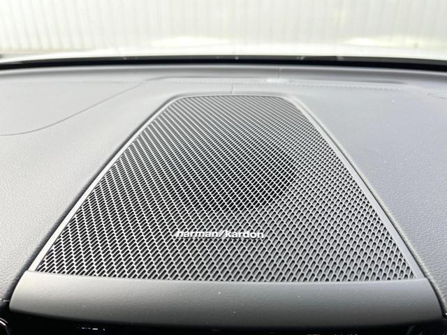 21619468_carP_l_10.jpg