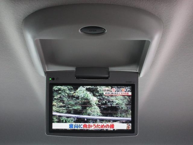 15634244_carP_l_15.jpg