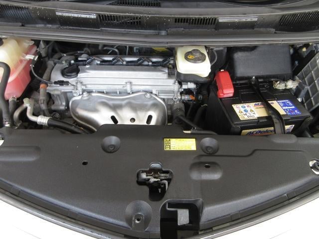 15634244_carP_l_20.jpg