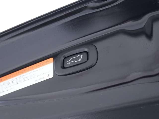 20851385_carP_l_12.jpg