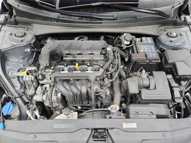 lotterental_100249920_0TEJU_2.jpg