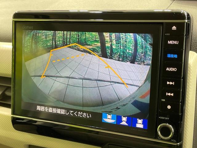 23207908_carP_l_4.jpg
