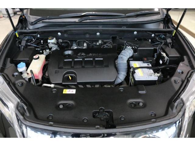 21654580_carP_l_17.jpg