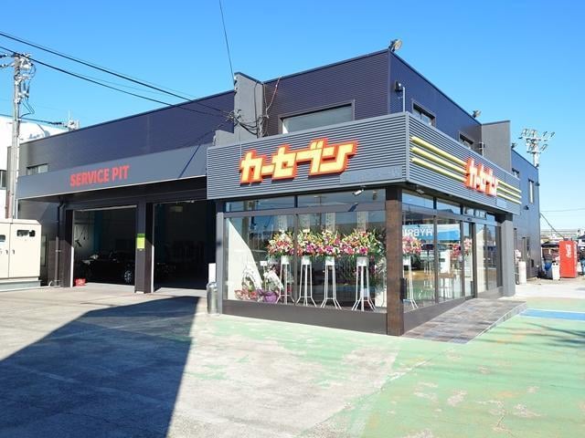 18036443_carP_l_11.jpg