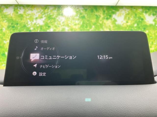 21933549_carP_l_19.jpg