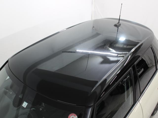 23060400_carP_l_7.jpg