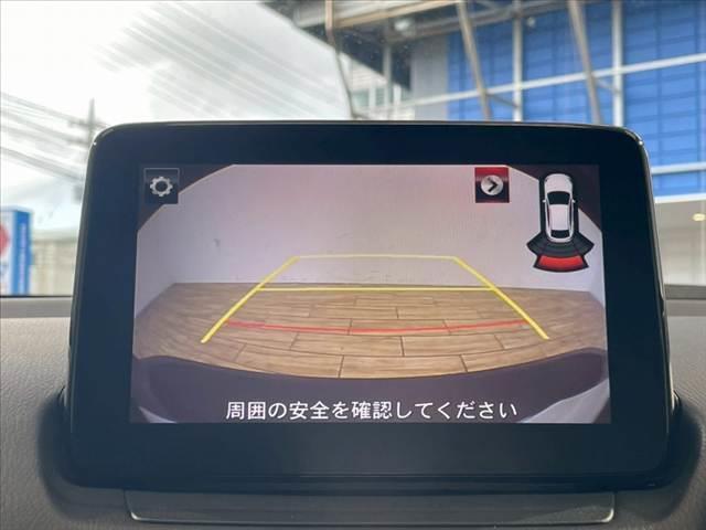 20004079_carP_l_4.jpg