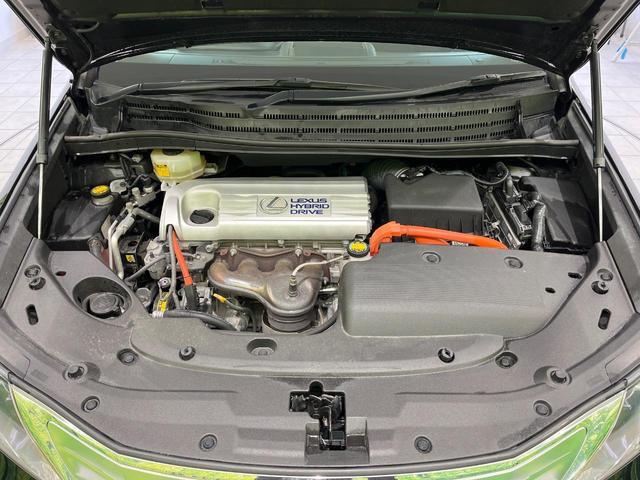 22699332_carP_l_10.jpg