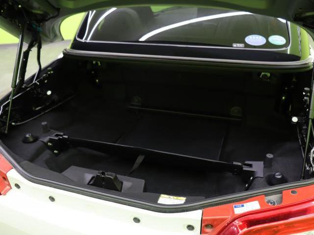21595683_carP_l_6.jpg