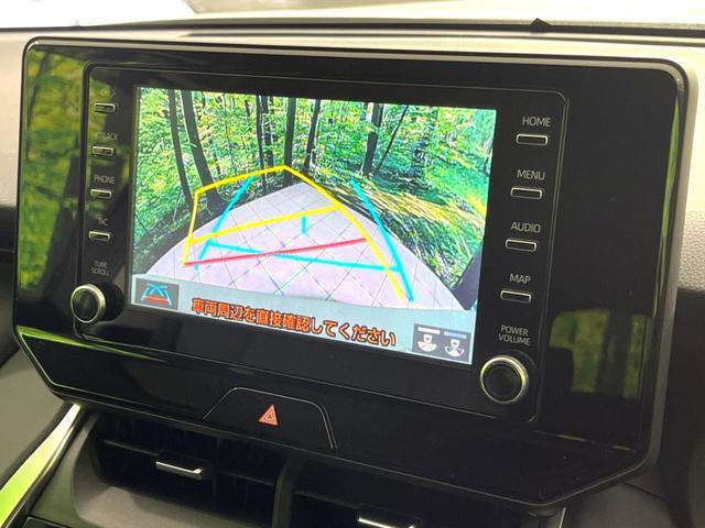 20572881_carP_l_10.jpg