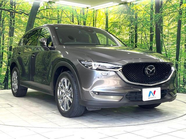 22915901_carP_l_12.jpg