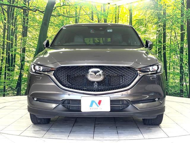 22915901_carP_l_9.jpg