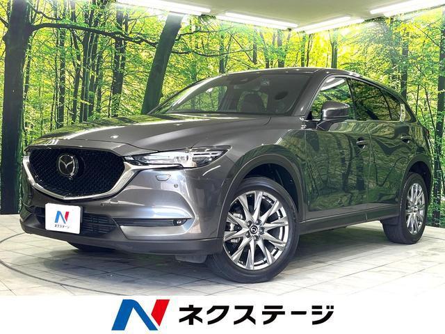 22915901_carP_l_1.jpg