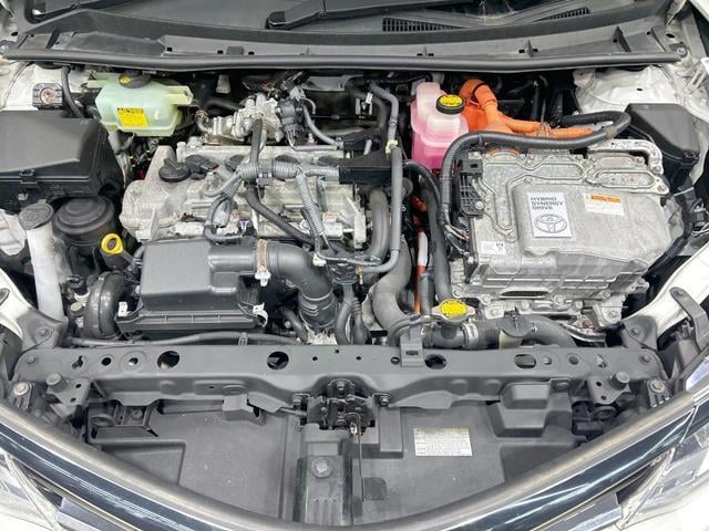 19898153_carP_l_16.jpg