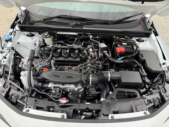 21879424_carP_l_14.jpg