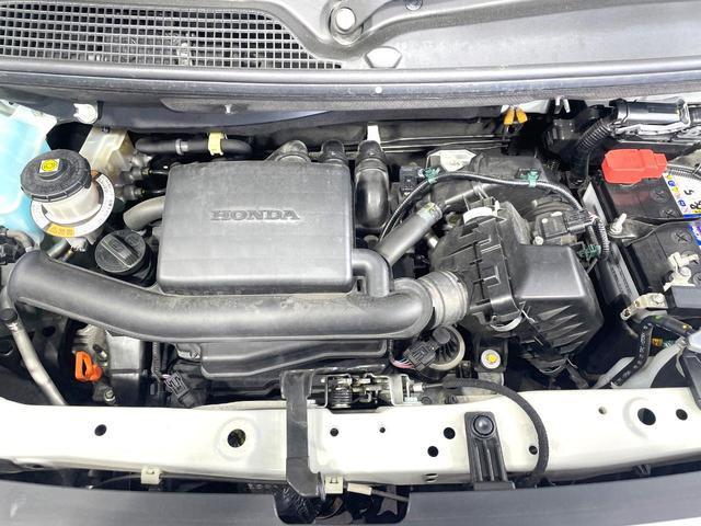 22916784_carP_l_16.jpg