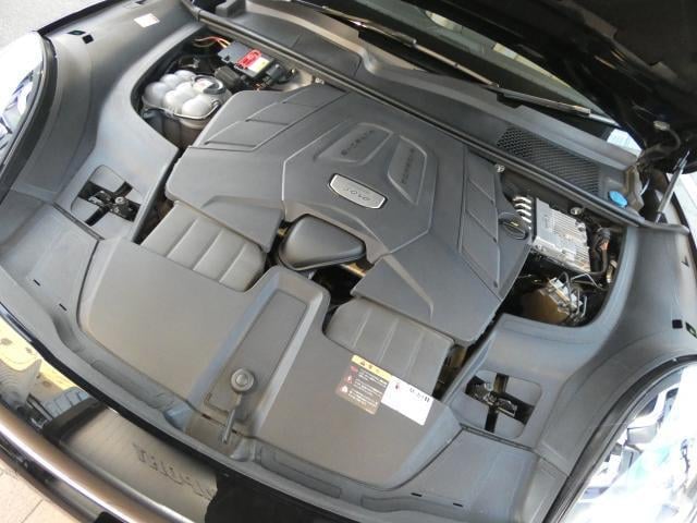 21113696_carP_l_20.jpg