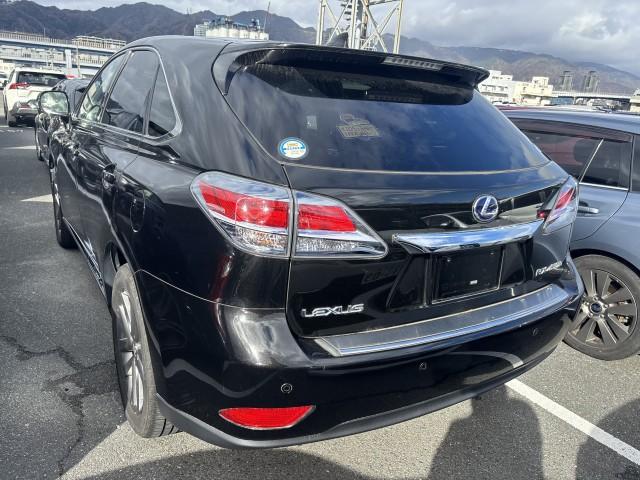21184229_carP_l_14.jpg