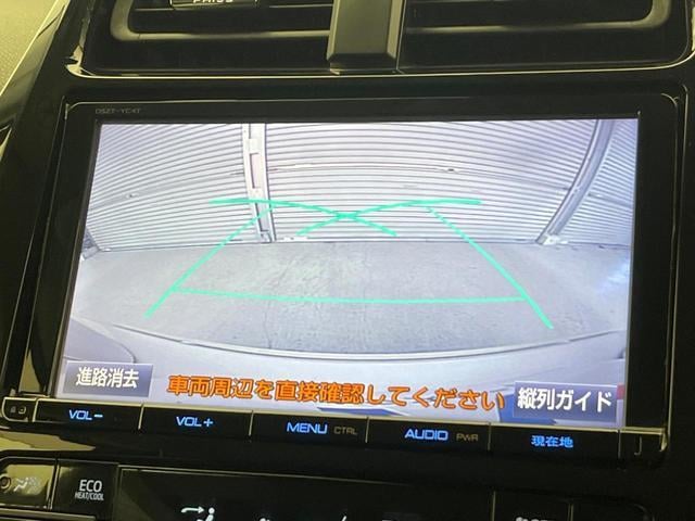 19913710_carP_l_10.jpg