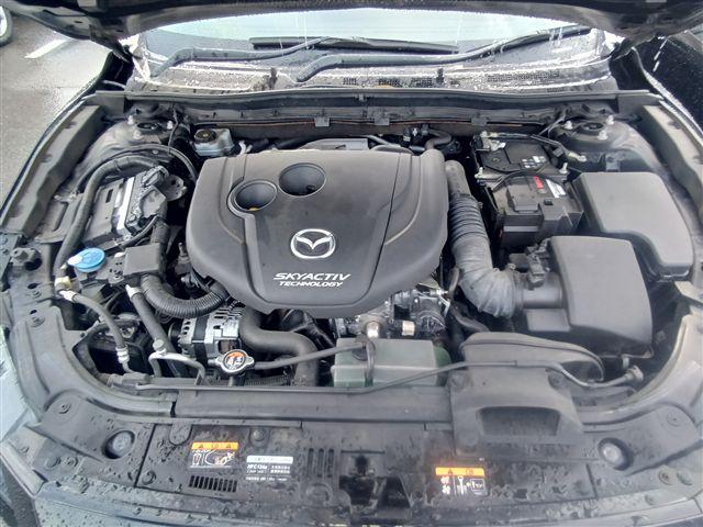 08.jpg