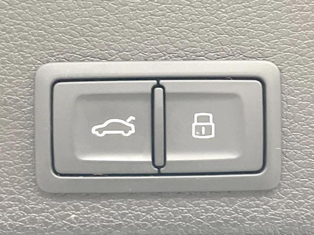 21149485_carP_l_17.jpg