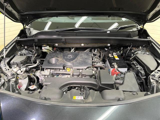 22003486_carP_l_16.jpg