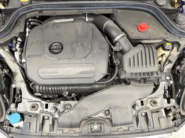 23207334_carP_l_20.jpg